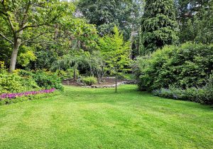 Optimiser l'expérience du jardin à Saint-Hilaire-de-Loulay